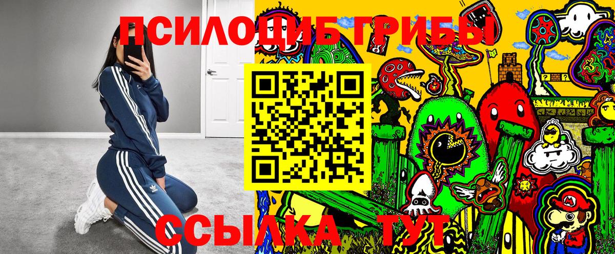 Псилоцибиновые грибы Psilocybine cubensis  Вход с VPN  Псилоцибиновые грибы Psilocybine cubensis  Сегежа 